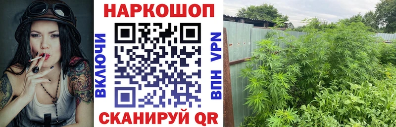 Наркота Лаишево Псилоцибиновые грибы  Каннабис  МЕФ  ГАШ  КОКАИН  Alpha-PVP  Амфетамин 