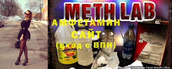 ПСИЛОЦИБИНОВЫЕ ГРИБЫ Арсеньев